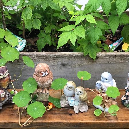 Owly 'Ouse Bed & Breakfast Barnstaple Bagian luar foto
