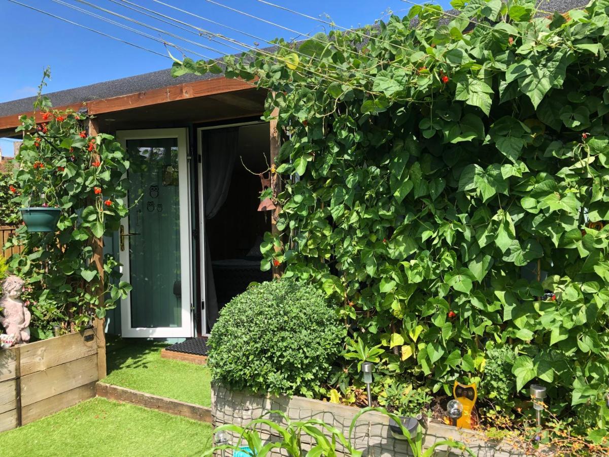 Owly 'Ouse Bed & Breakfast Barnstaple Bagian luar foto