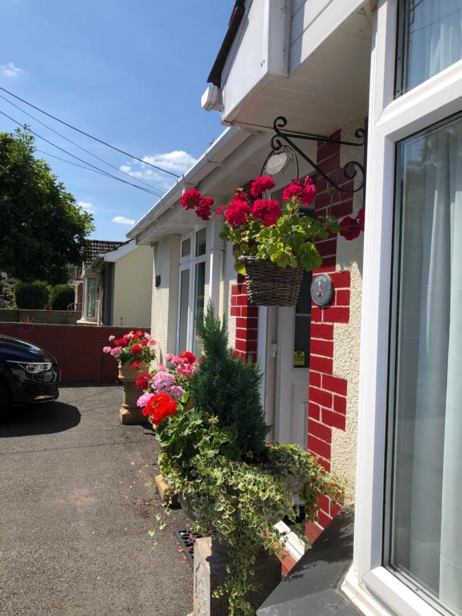 Owly 'Ouse Bed & Breakfast Barnstaple Bagian luar foto