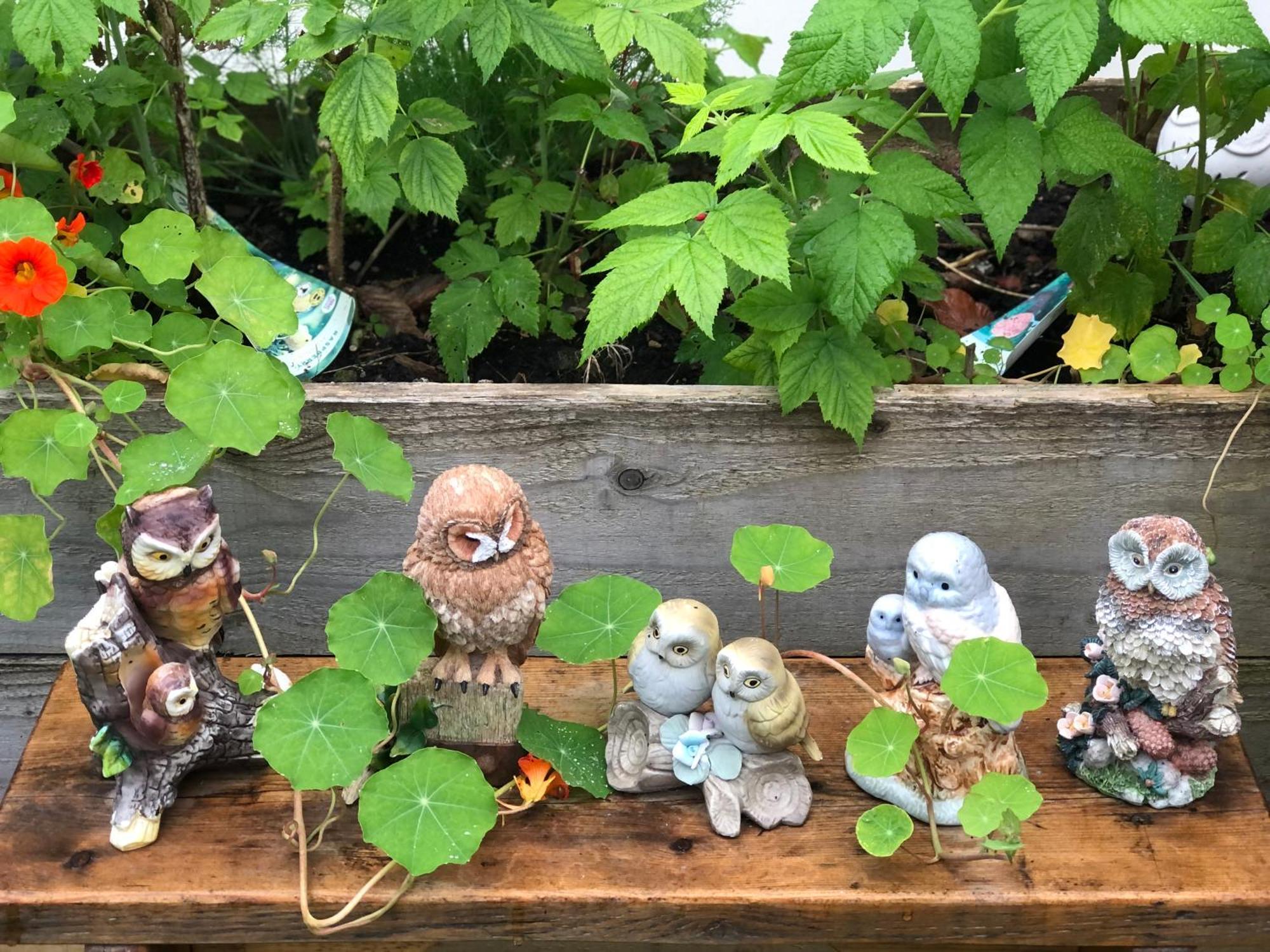 Owly 'Ouse Bed & Breakfast Barnstaple Bagian luar foto
