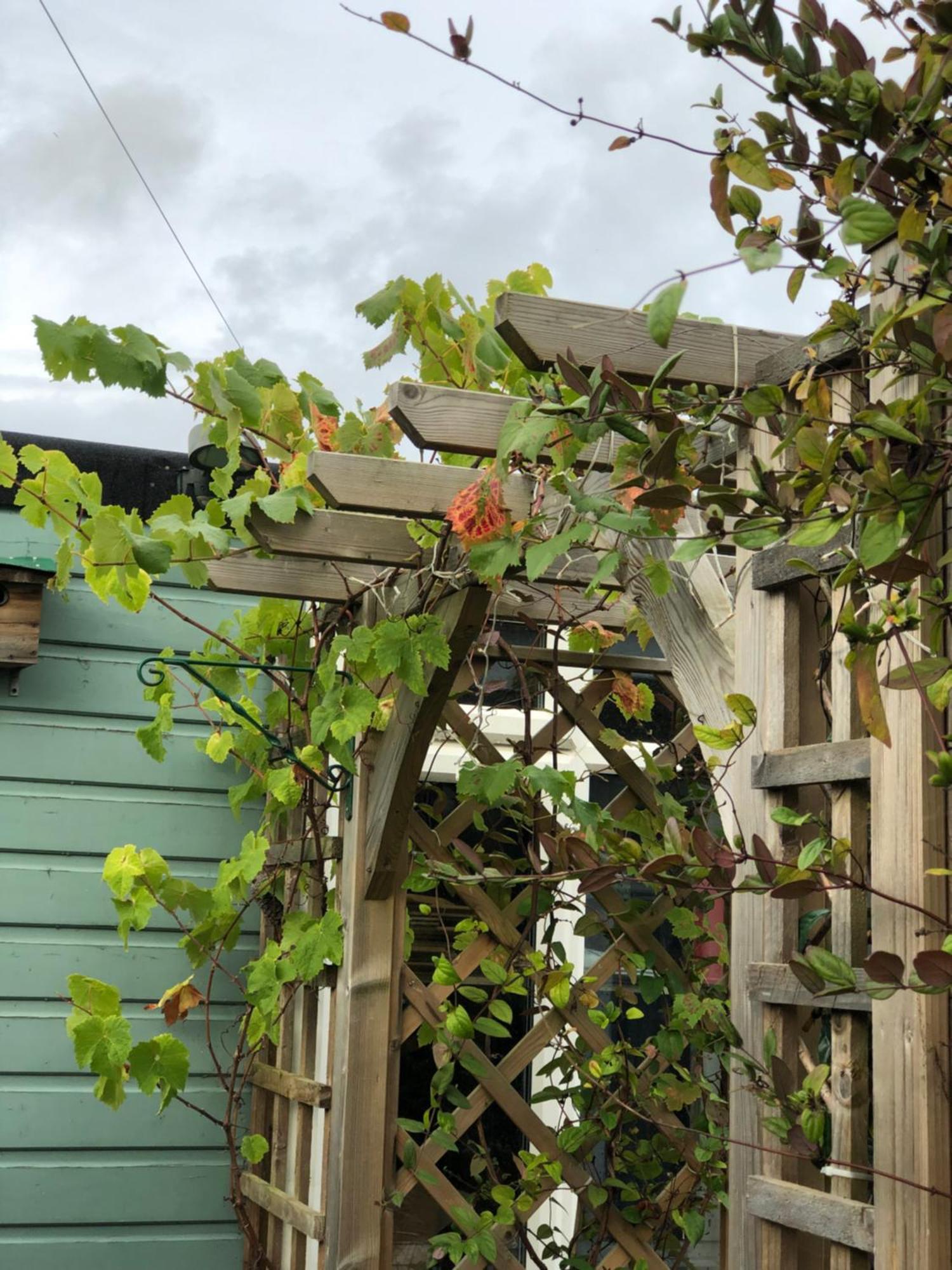 Owly 'Ouse Bed & Breakfast Barnstaple Bagian luar foto